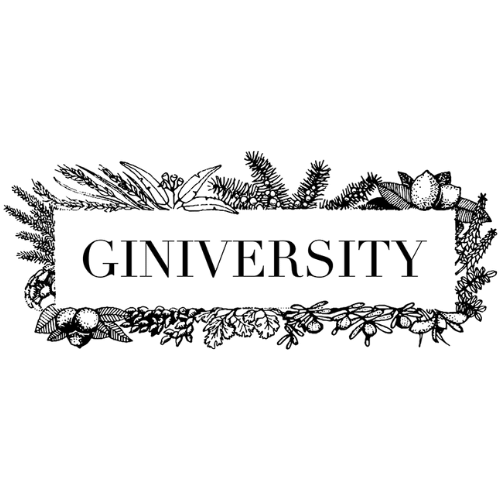 Giniversity